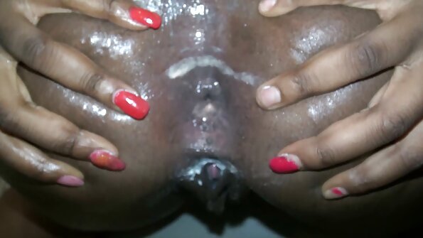 매력 와 a 털이 많은 고양이 하지 얼굴 좌석 과 도착 두드리고