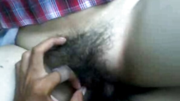 뿔의 한 쌍 이다 데 야생 집 밖의 섹스 에 the the 눈