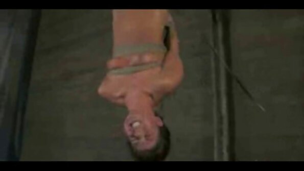 매력적인 앨리슨 타일러 부착 형 성교 몸집이 작은 파이퍼 페리